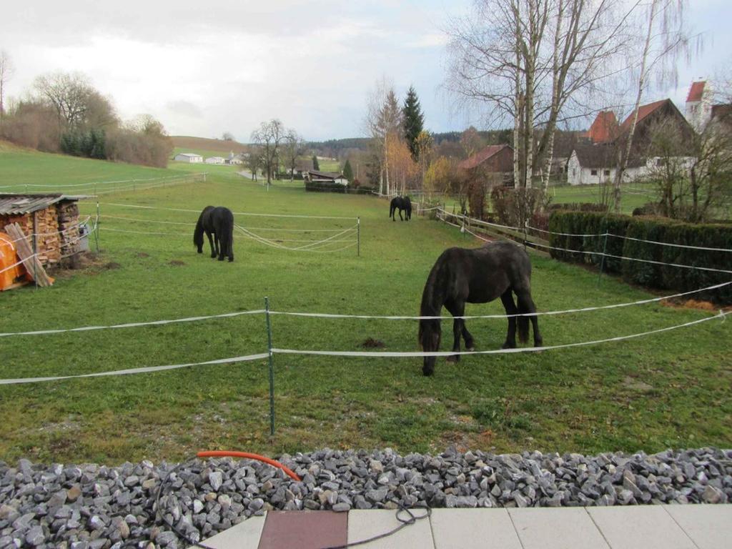 Ferienwohnung Am Weinberg Ostrach Luaran gambar